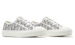 Walk'N'Dior Embroidered Canvas Low 'Grey' - DUBAI ALL STAR