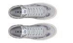 Dior B101 'CD Diamond - Grey' - DUBAI ALL STAR