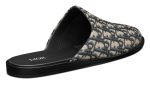 Indior Mule Beige and Black Dior Oblique Jacquard - DUBAI ALL STAR